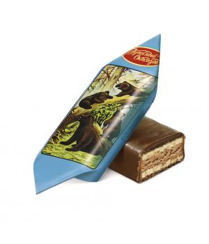 Мишка косолапый